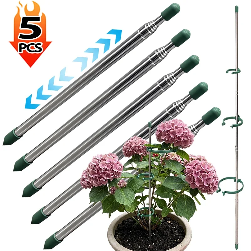 Florist Supply Bulk - 5/1PCS Retractable Plant Support Ring Green