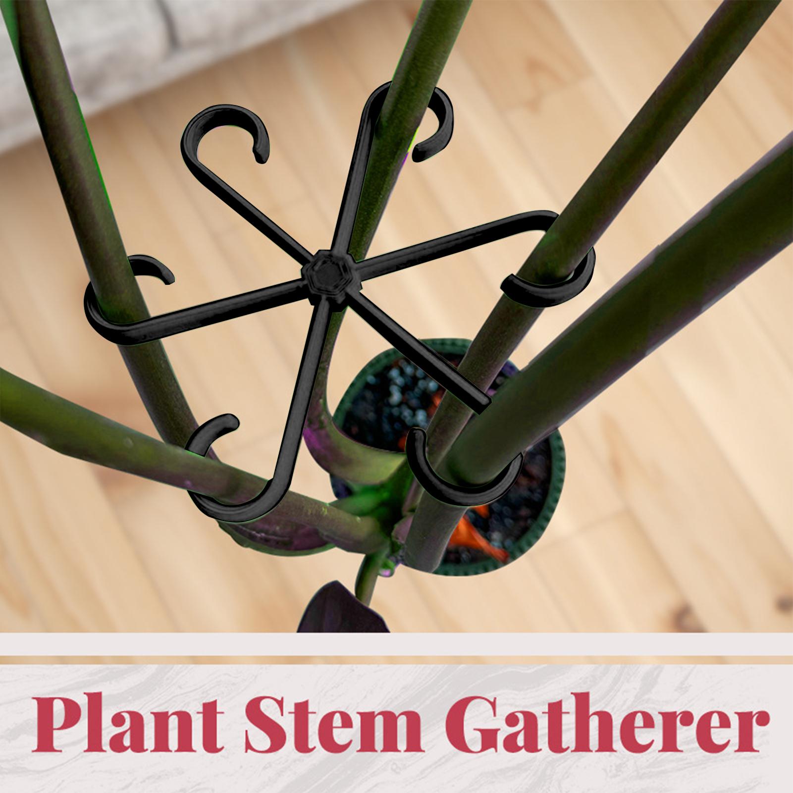 4pcs Plant Stem Support Clips  - Florist Supply Bulk 评论和价格