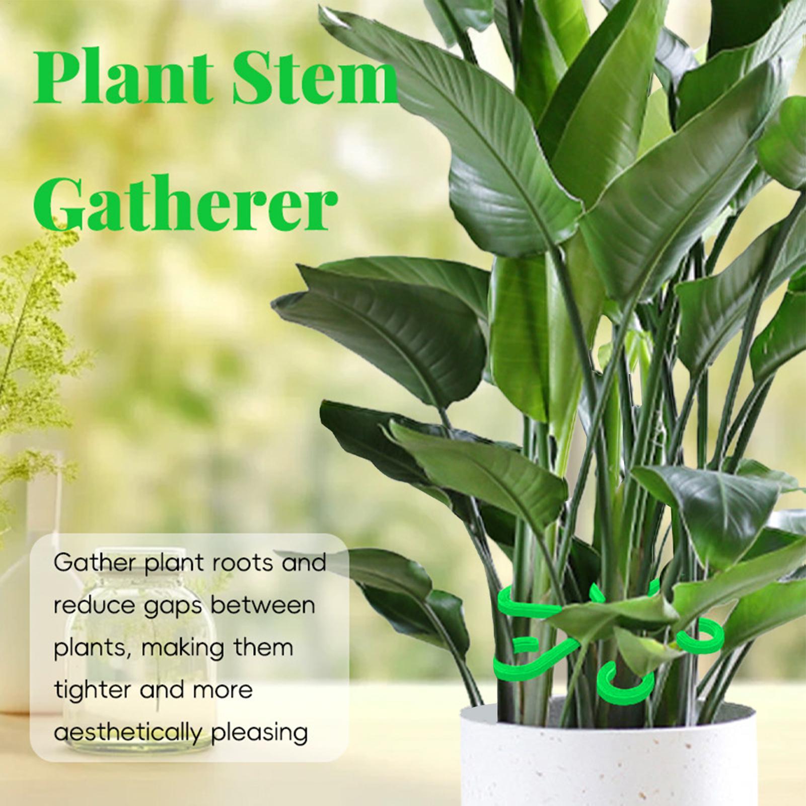4pcs Plant Stem Support Clips  - Florist Supply Bulk 评论和价格