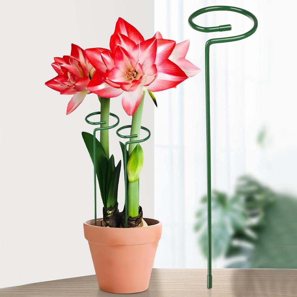 Metal Plant Support Rods Garde - Florist Supply Bulk 评论和价格