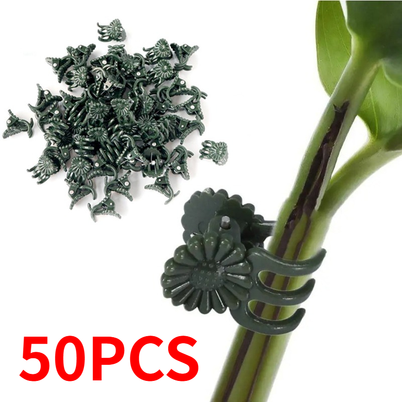50PCS 5-Claw Dark Green Plant  - Florist Supply Bulk 评论和价格