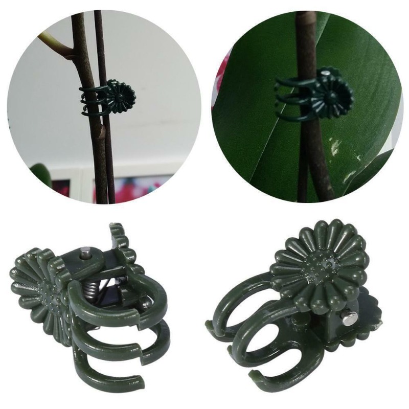50PCS 5-Claw Dark Green Plant  - Florist Supply Bulk 评论和价格