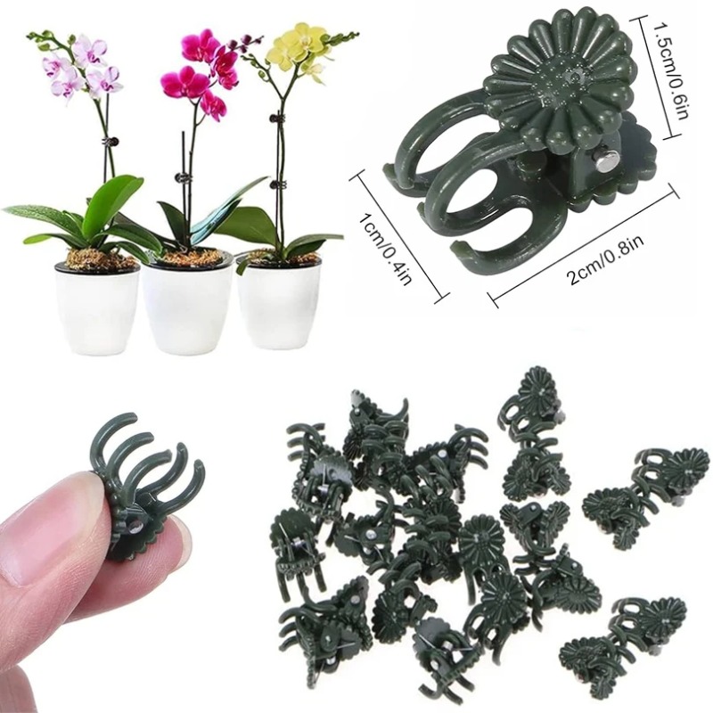 50PCS 5-Claw Dark Green Plant  - Florist Supply Bulk 评论和价格