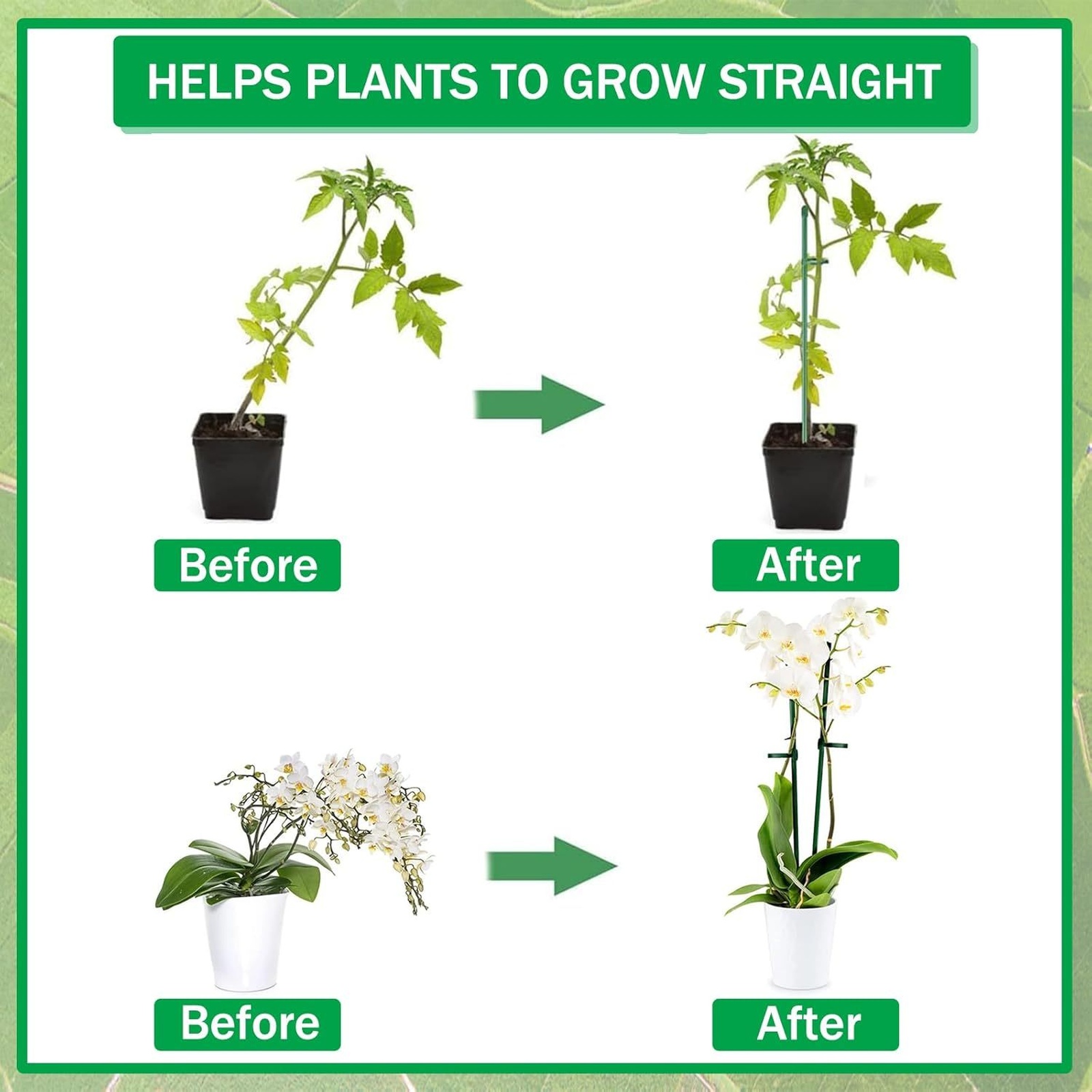 Plant Supports Rod Single Stem - Florist Supply Bulk 评论和价格