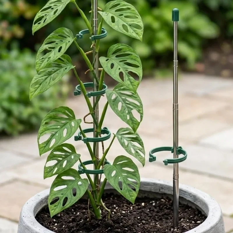 5/1PCS Retractable Plant Suppo - Florist Supply Bulk 评论和价格