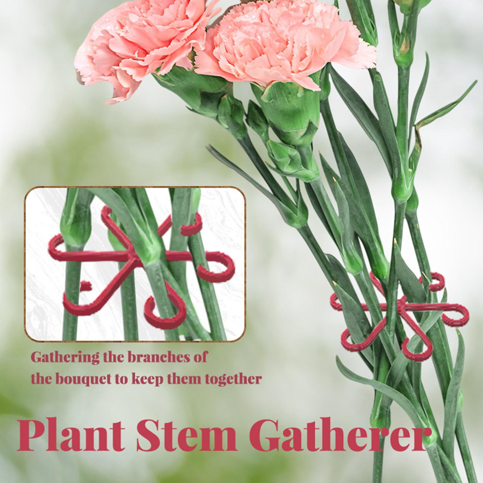 4pc Plant Fixing Clip Plant Cl - Florist Supply Bulk 评论和价格