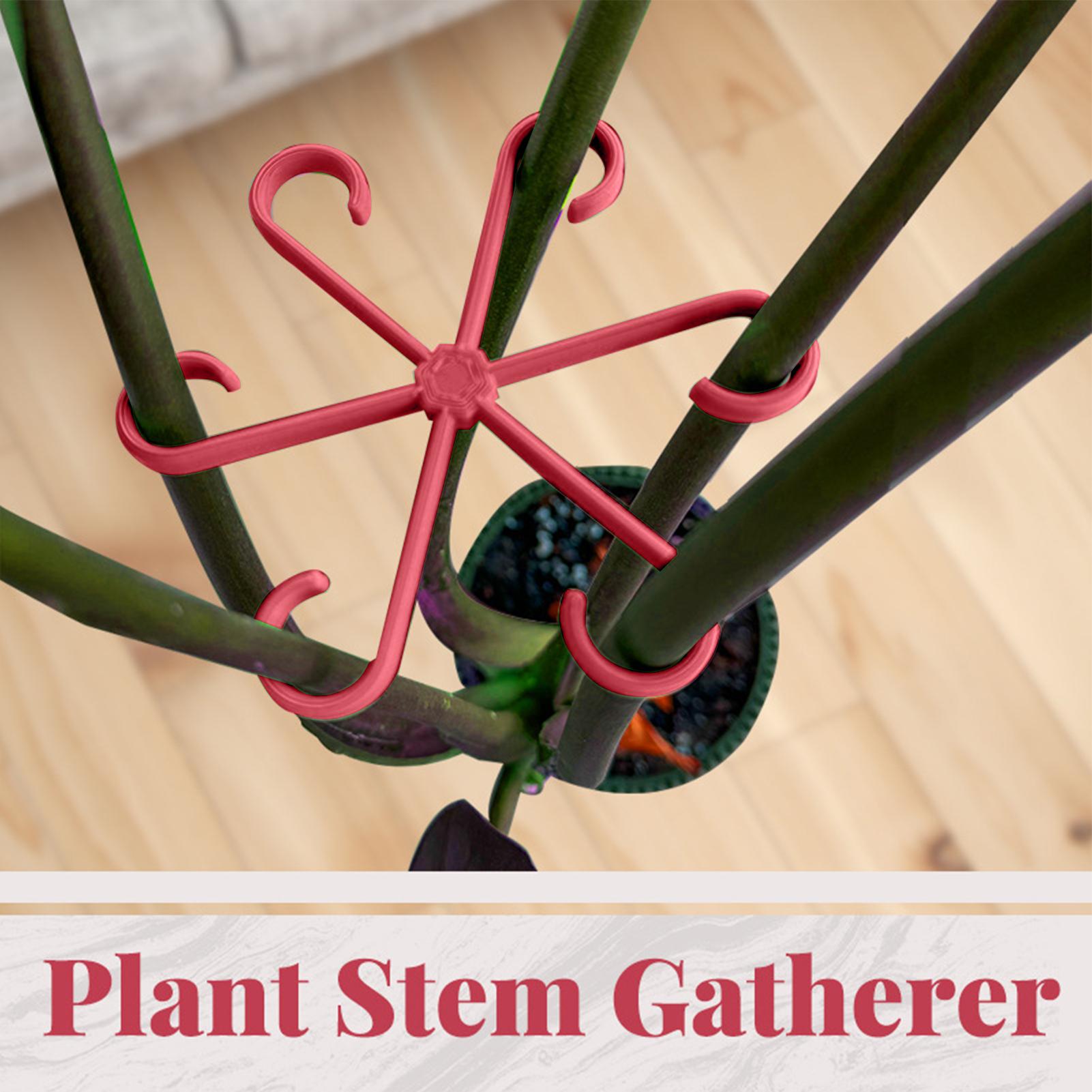 4pc Plant Fixing Clip Plant Cl - Florist Supply Bulk 评论和价格