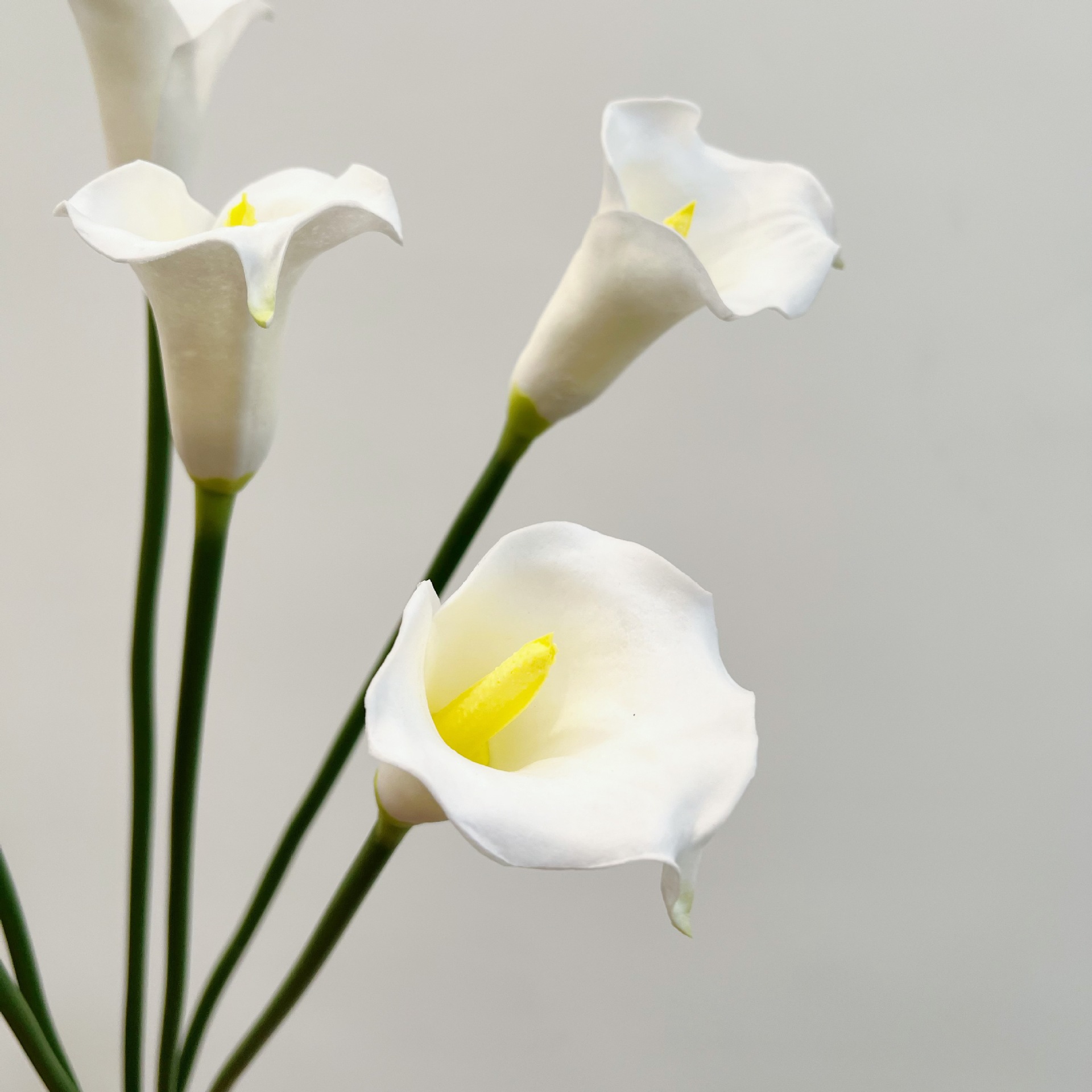 26 Inch Single Stem Crescent C - Florist Supply Bulk 评论和价格