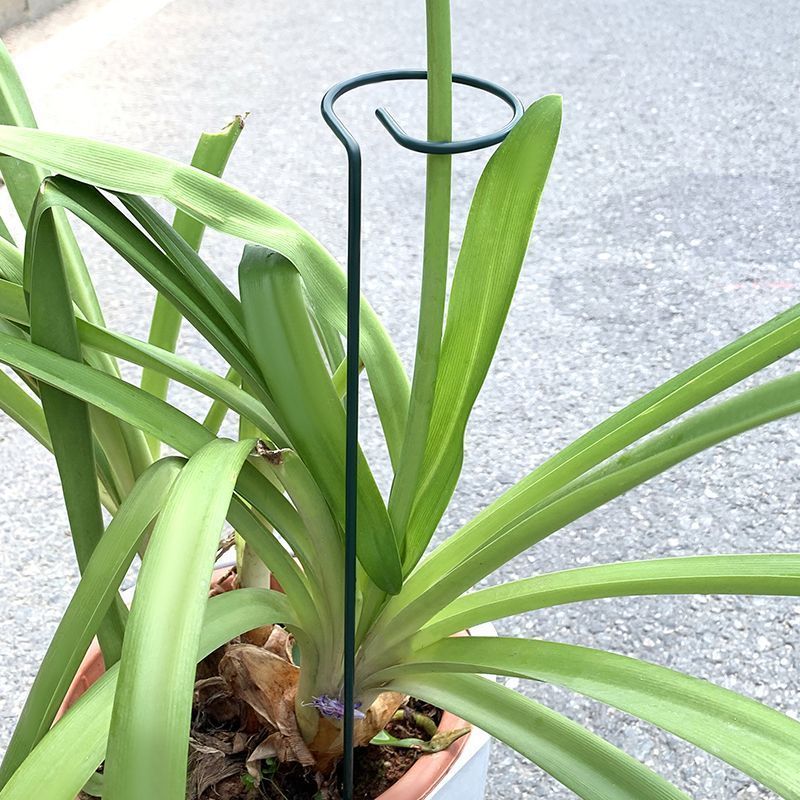 1-10pcs Metal Single Stem Plan - Florist Supply Bulk 评论和价格